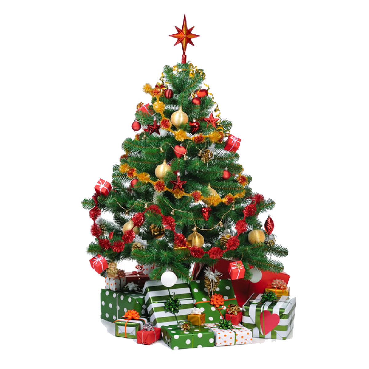 Kerstboom Nordmann Prijs 2025 Breena Arabelle